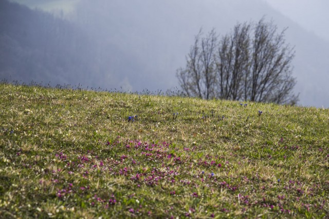 15. april 19 - foto
