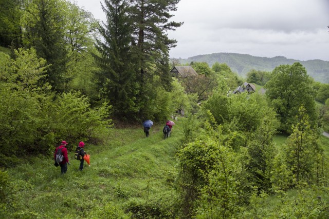 5. maj 19. - foto