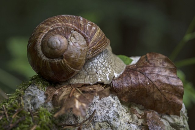 5. maj 19. - foto