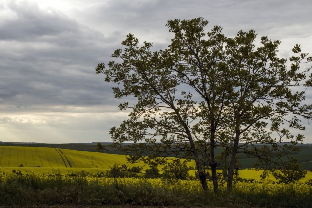 6. maj 19 - foto