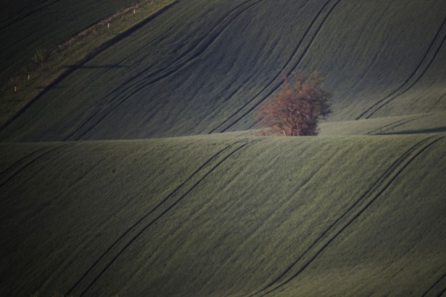 7. maj 19. - foto