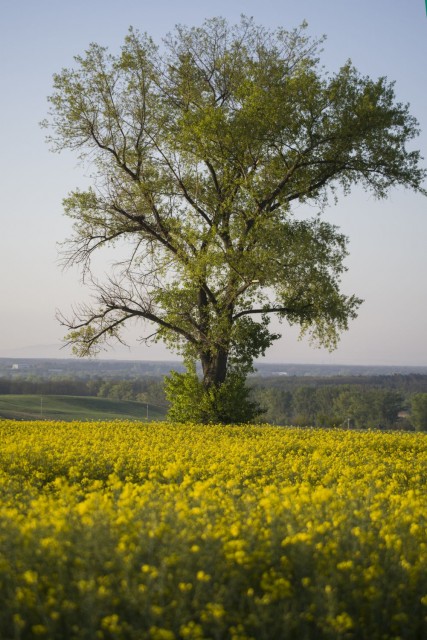 7. maj 19. - foto