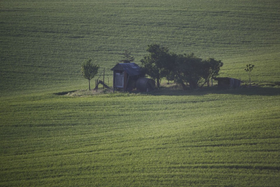 7. maj 19. - foto povečava