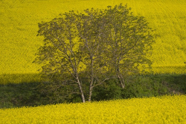 7. maj 19. - foto