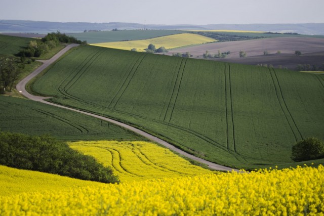 7. maj 19. - foto