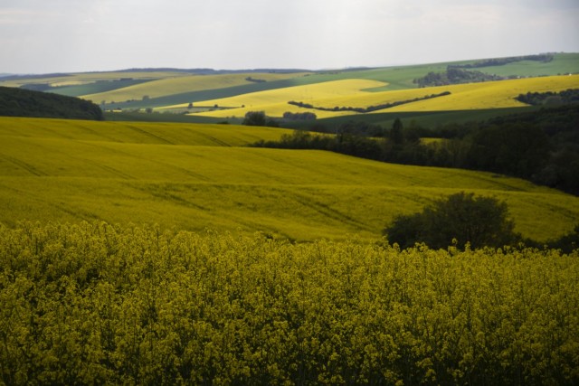 7. maj 19. - foto