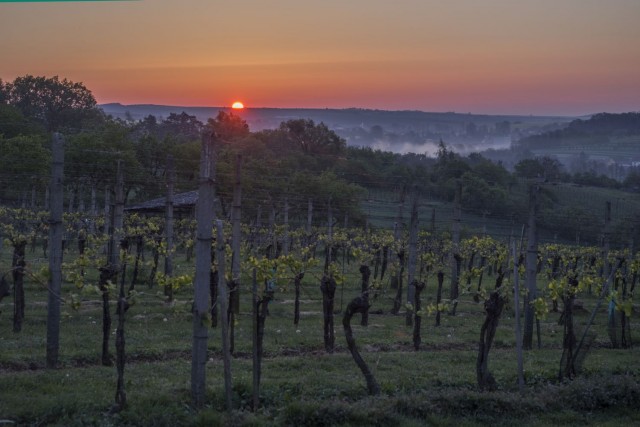 8. maj 19. - foto