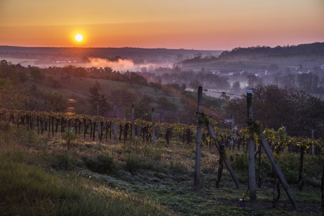 8. maj 19. - foto