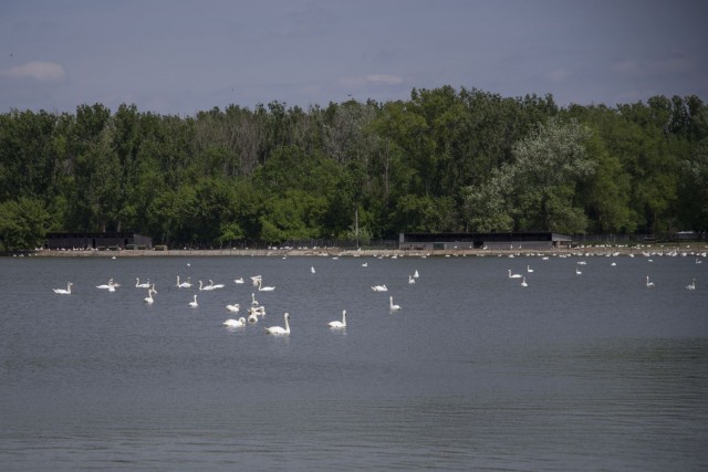 8. maj 19. - foto