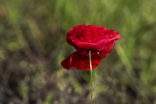 20. maj 19 - foto