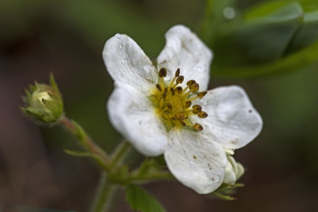 22. maj 19 - foto