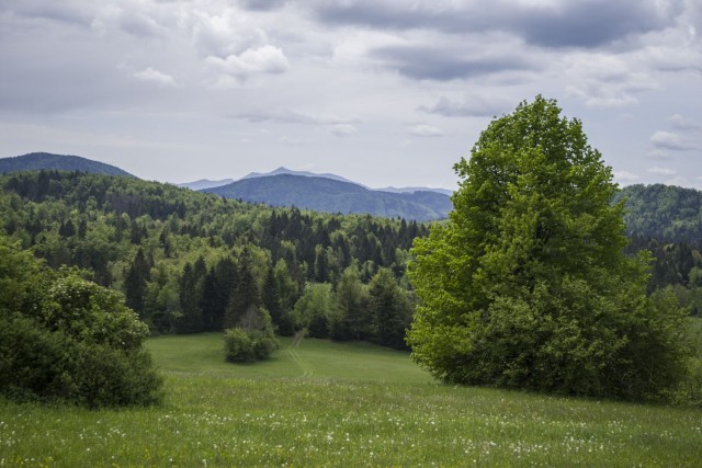 25. maj 19 - foto