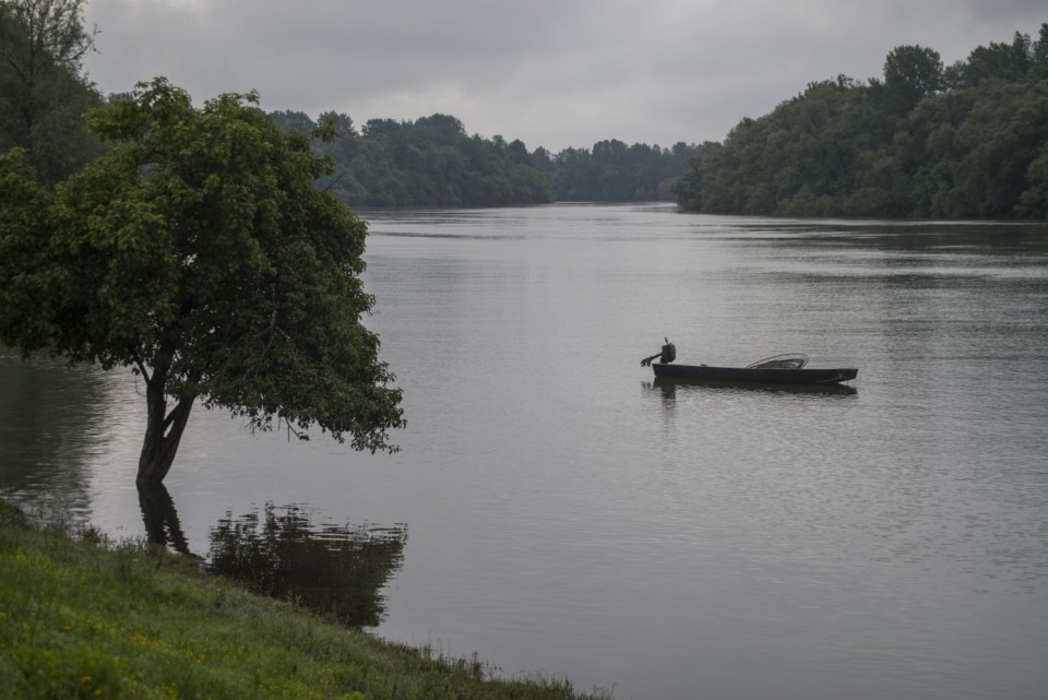 6. junij 19 - foto povečava