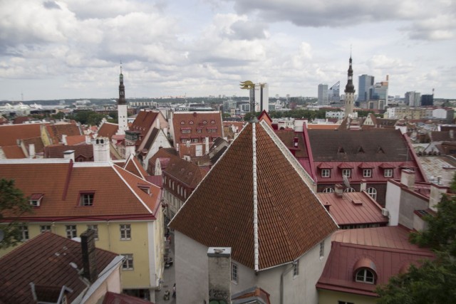 10. avgust 19. - foto