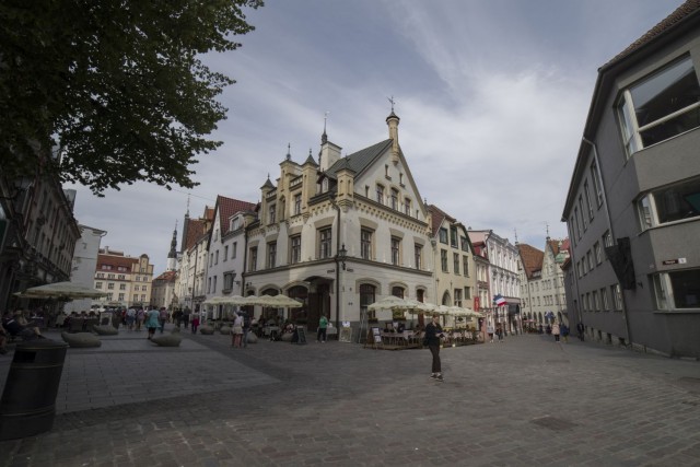 10. avgust 19. - foto