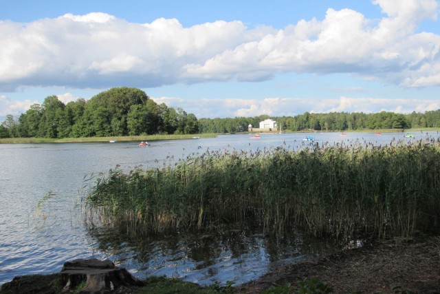 15. avgust 19 - foto