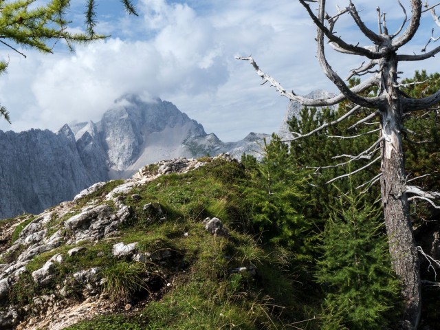 29. avgust 19 - foto