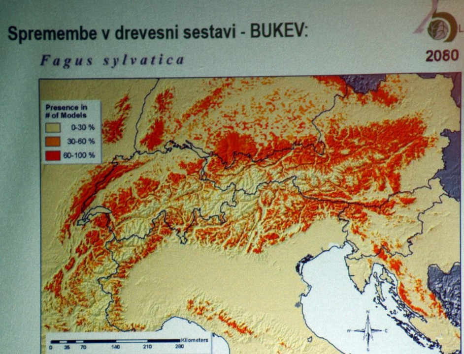 18. september 19 - foto povečava