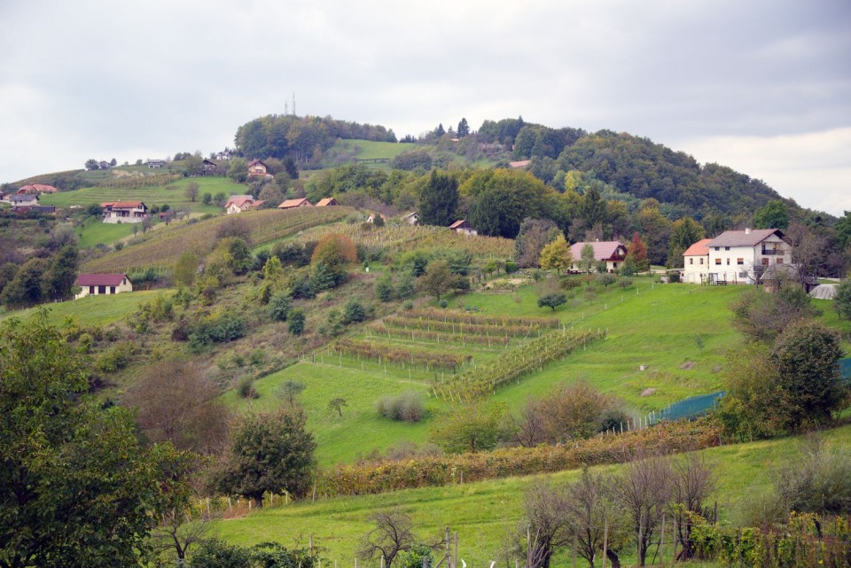 9. oktober 19 - foto povečava