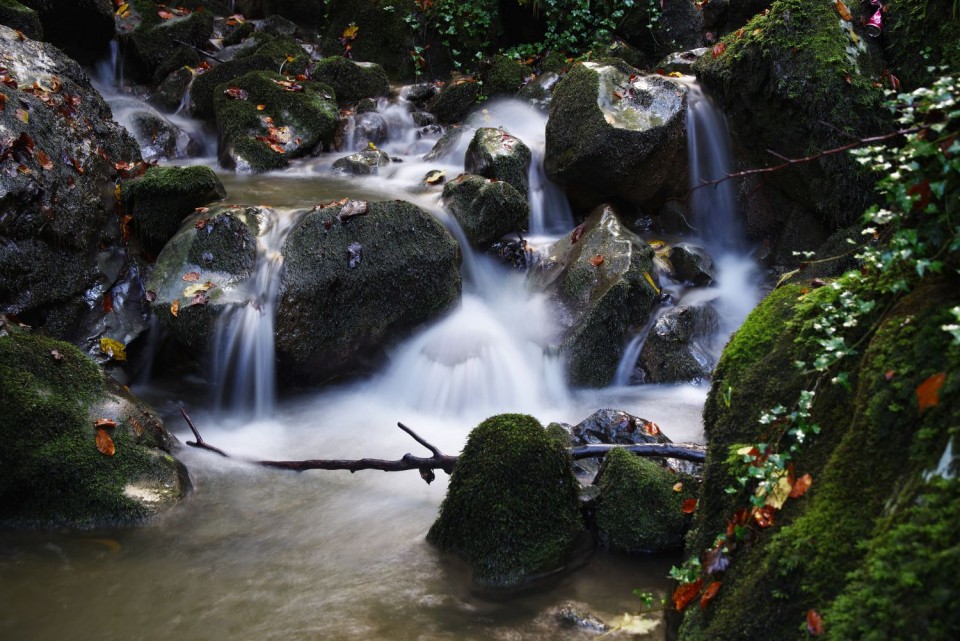 16. oktober 19 - foto povečava