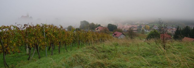 17. oktober 19 - foto