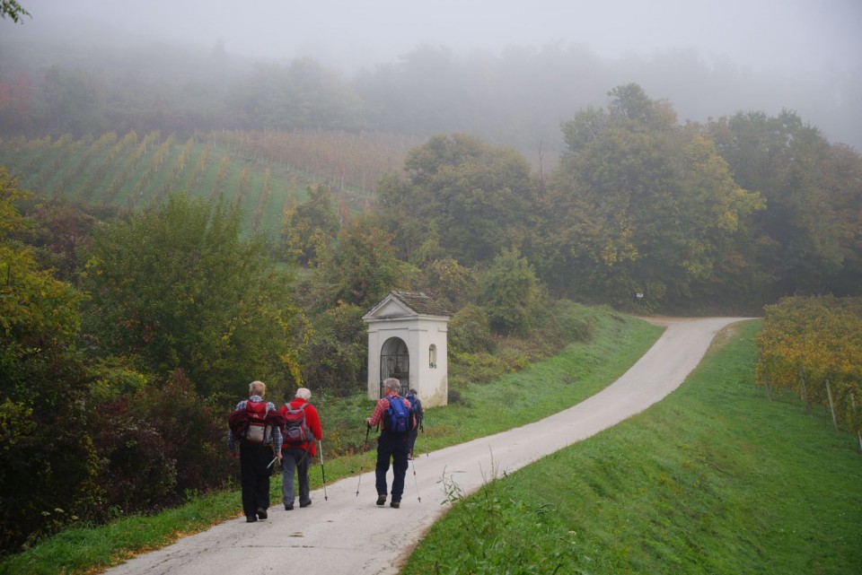 17. oktober 19 - foto povečava