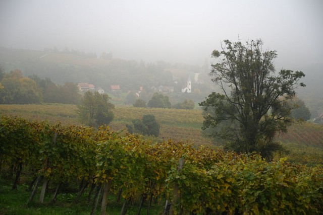 17. oktober 19 - foto