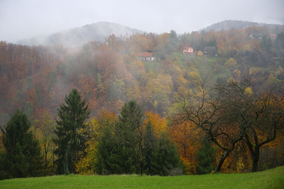 14. november 19 - foto povečava