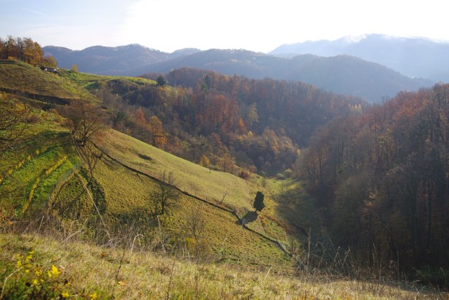21. november 19 - foto