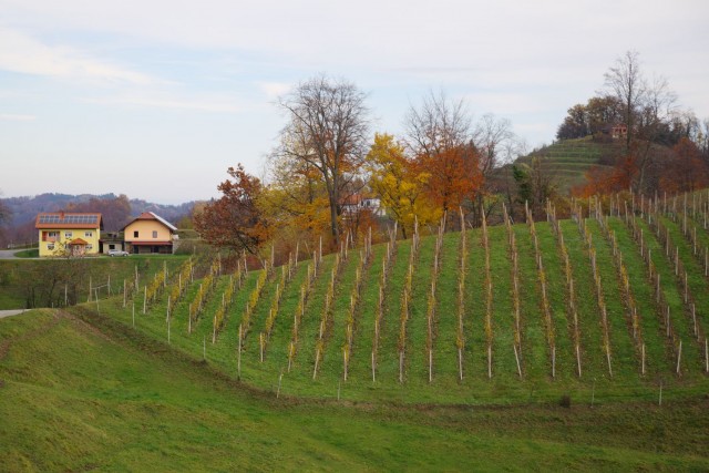 21. november 19 - foto