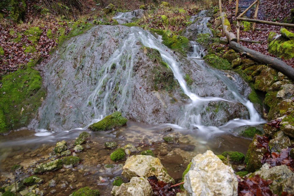 27. november 19 - foto povečava