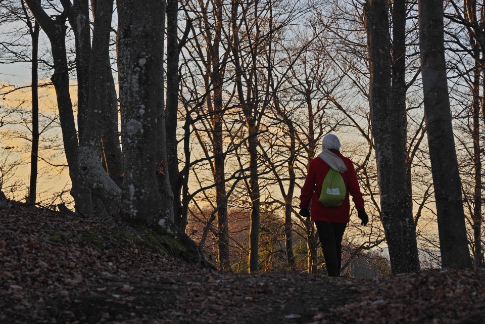 26. december 19 - foto povečava