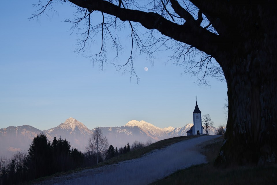 8. januar 20 - foto povečava