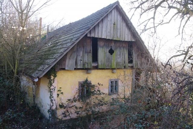 12. januar 20 - foto