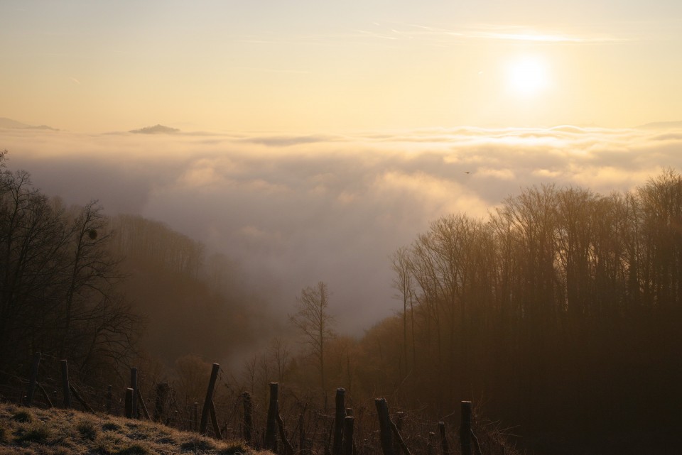 13. januar 20 - foto povečava