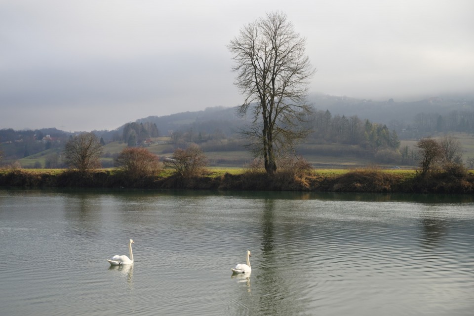 29. januar 20 - foto povečava