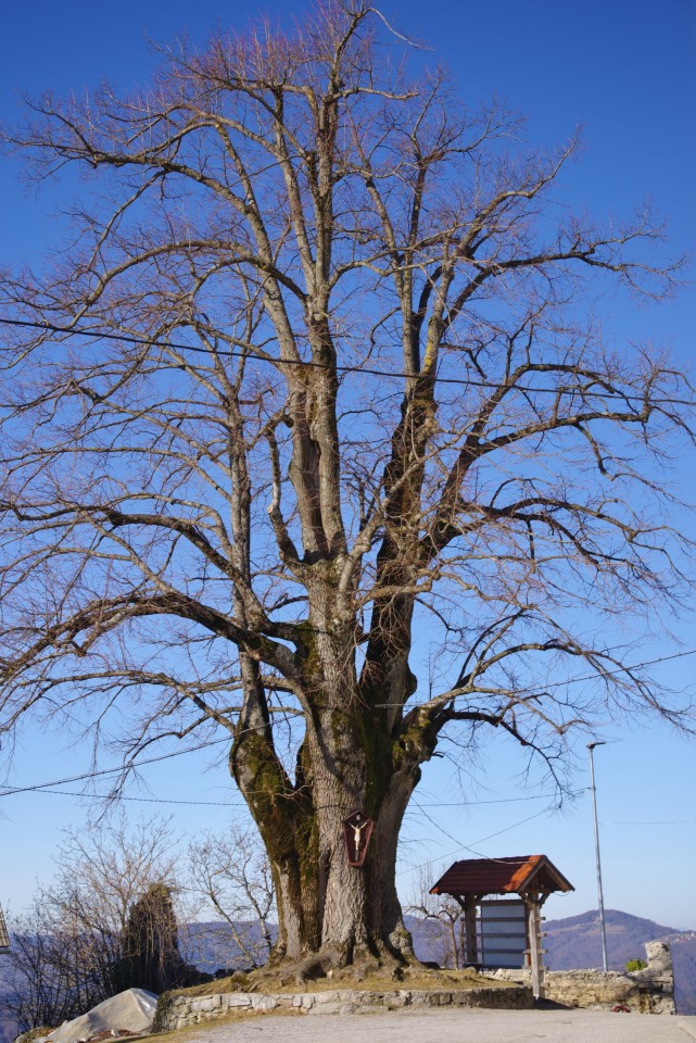 30. januar 20 - foto povečava