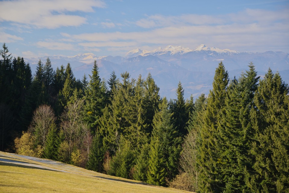 3. februar 20 - foto povečava