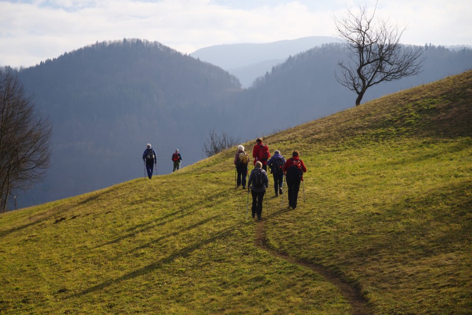 3. februar 20 - foto povečava