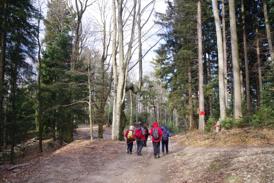 10. februar 20 - foto povečava