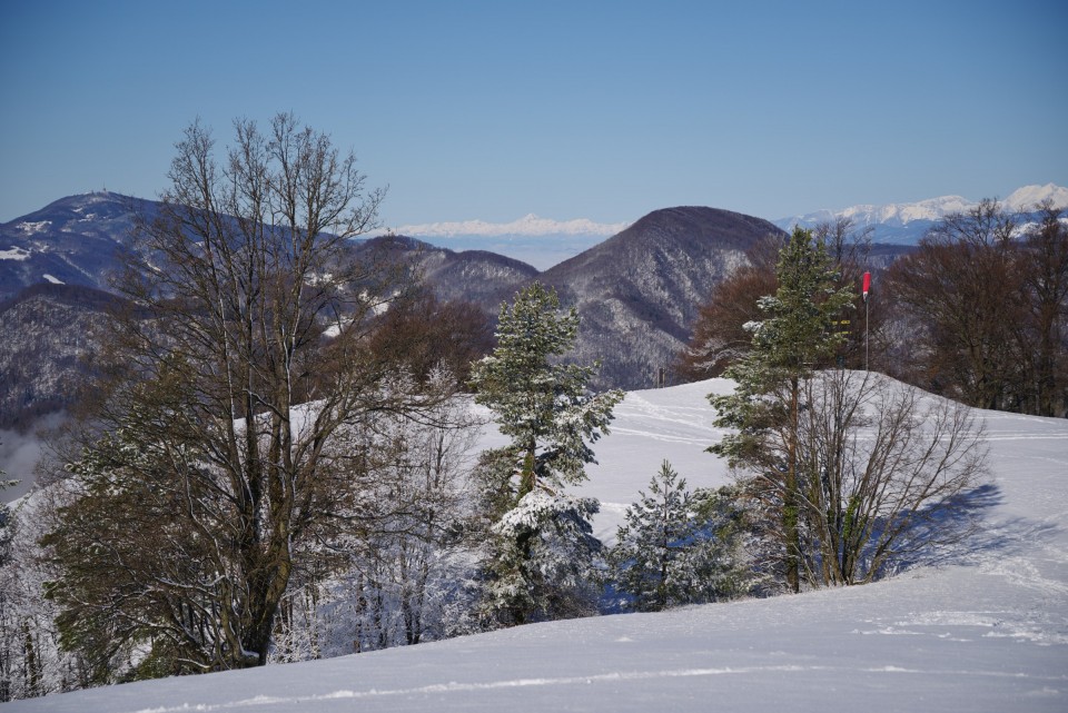 27. februar 20 - foto povečava