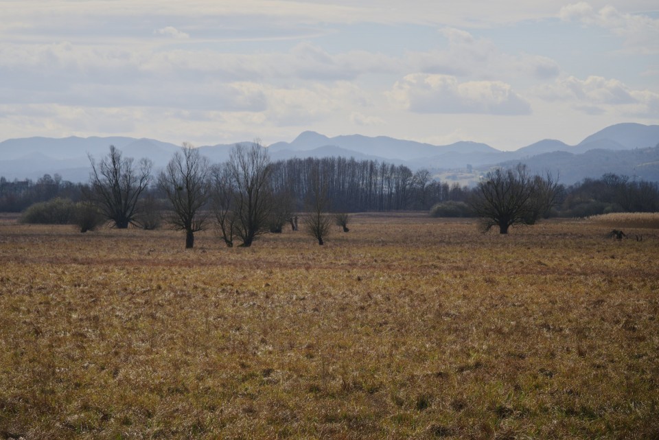 2. marec 20 - foto povečava