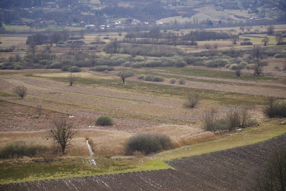 2. marec 20 - foto povečava