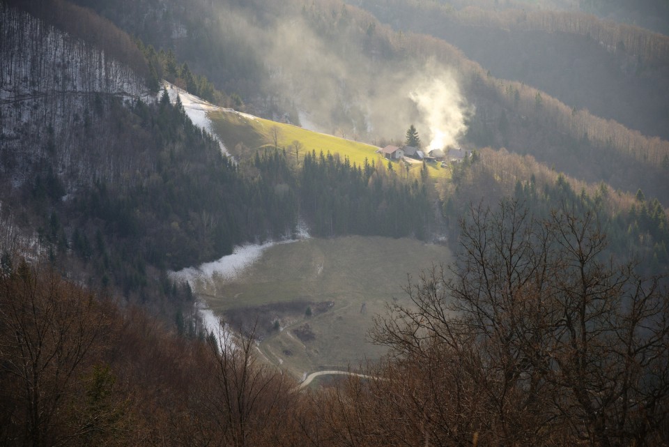 22. marec 20 - foto povečava