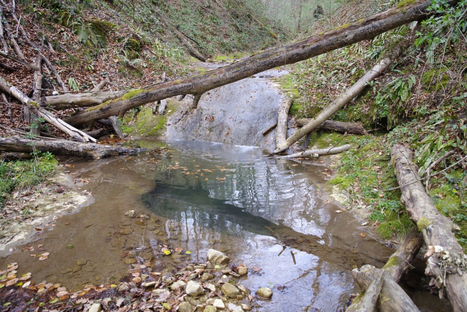 23. marec 20 - foto povečava