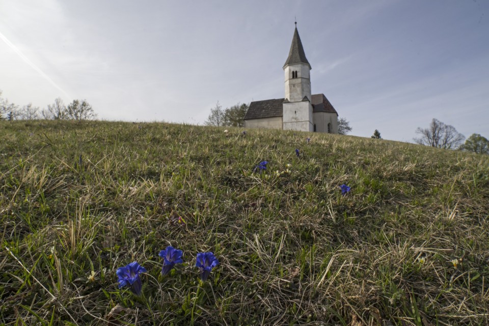 16. april 20 - foto povečava