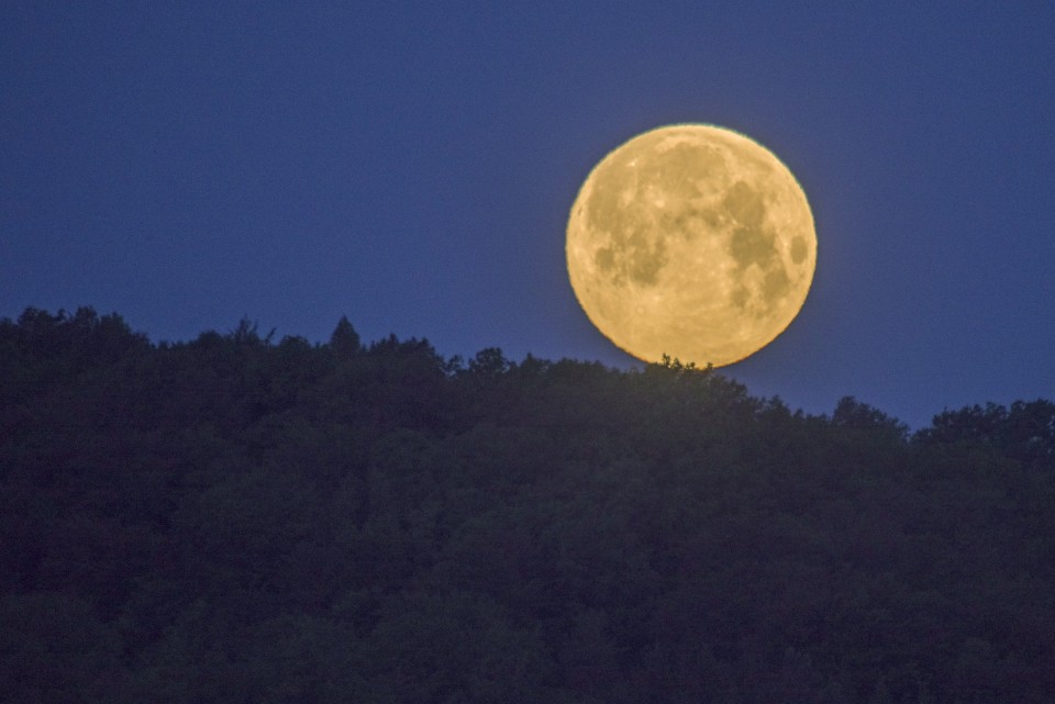 7. maj 20 - foto povečava