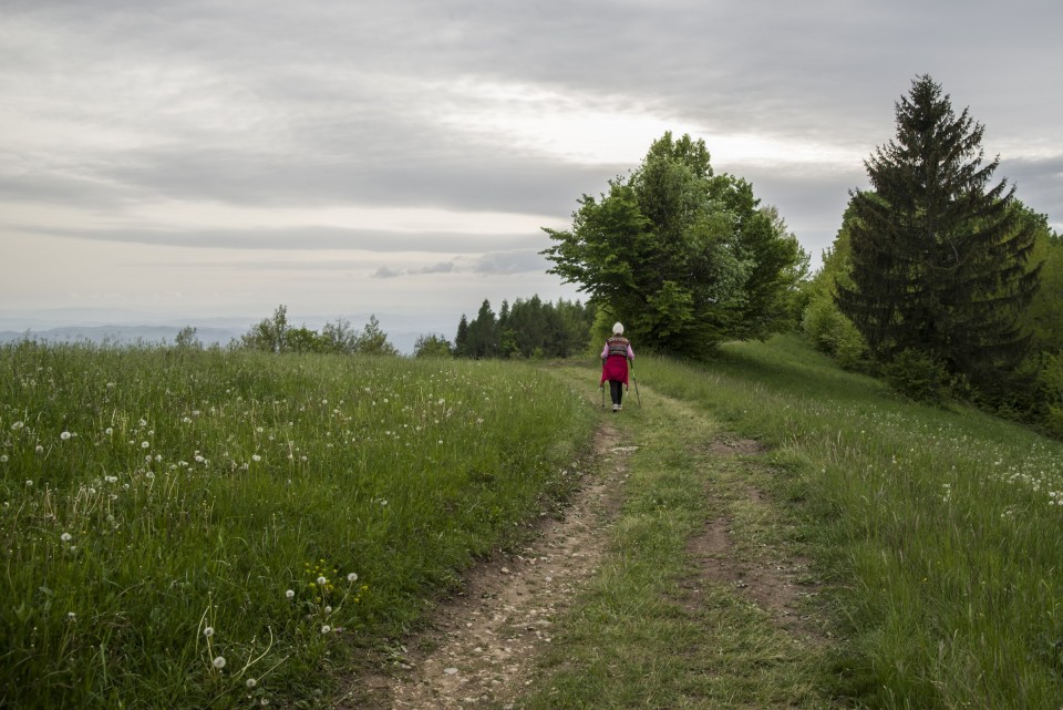 13. maj 20. - foto povečava