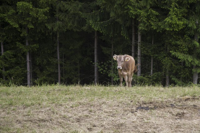 14. maj 20 - foto