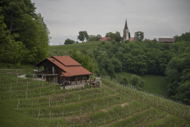 14. maj 20 - foto